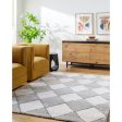 Surya Delight Shag DEL-2307  Global MachineWoven Rug For Discount