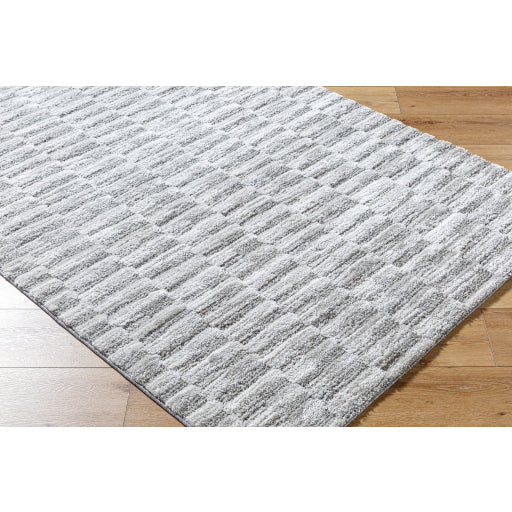 Surya Delight Shag DEL-2301  Global MachineWoven Rug Online now