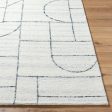 Surya Jules JLS-2309  Modern Hand Tufted Rug Online Sale