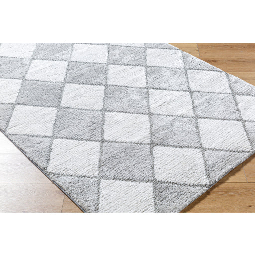 Surya Delight Shag DEL-2307  Global MachineWoven Rug For Discount