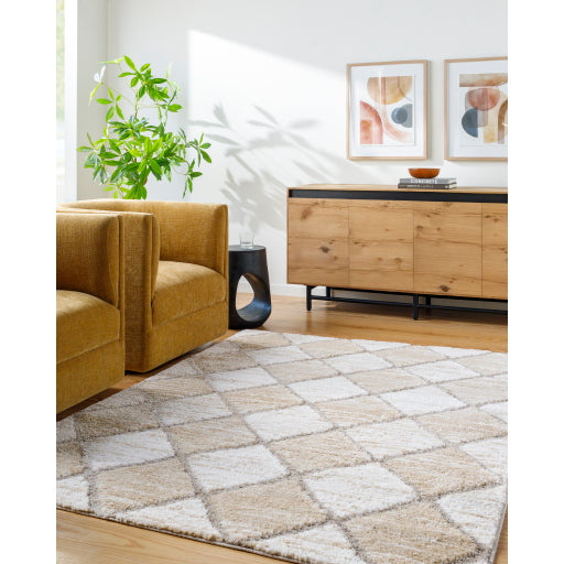 Surya Delight Shag DEL-2306  Global MachineWoven Rug Online Hot Sale