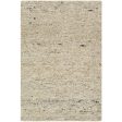 Surya Desire DSE-2302  Traditional Hand Tufted Rug Online now