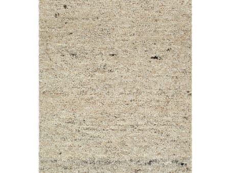 Surya Desire DSE-2302  Traditional Hand Tufted Rug Online now