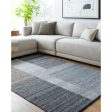 Surya Jocelyn JYN-2302  Rustic Hand Woven Rug Hot on Sale