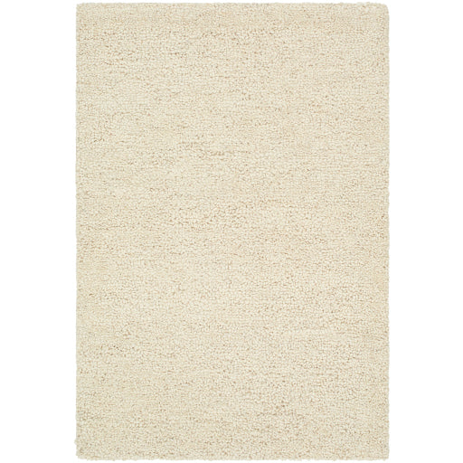 Surya Desire DSE-2303  Traditional Hand Tufted Rug Discount