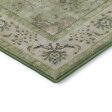 Dalyn Rugs Hatay HY9 Aloe Traditional Machine Made Rug For Cheap