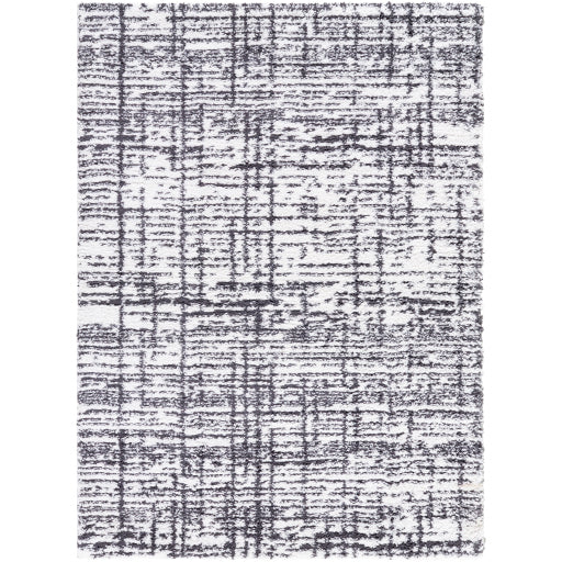 Surya Sacramento Shag SCS-2304 White Modern Machine Woven Rug Online now