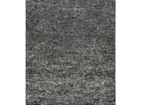 Surya Desire DSE-2305  Traditional Hand Tufted Rug For Discount