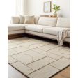 Surya Jules JLS-2308  Modern Hand Tufted Rug For Cheap