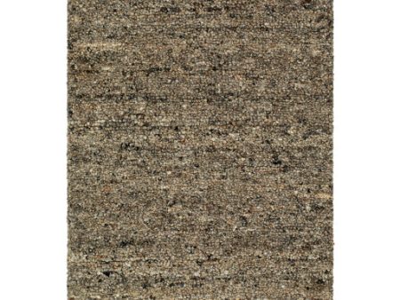 Surya Desire DSE-2301  Traditional Hand Tufted Rug Online