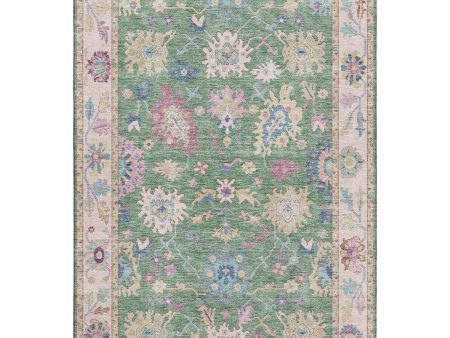 Dalyn Rugs Hatay HY7 Lime Traditional Machine Made Rug For Sale