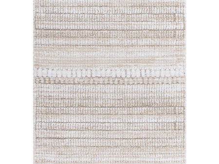 Surya Delight Shag DEL-2302  Global MachineWoven Rug Supply