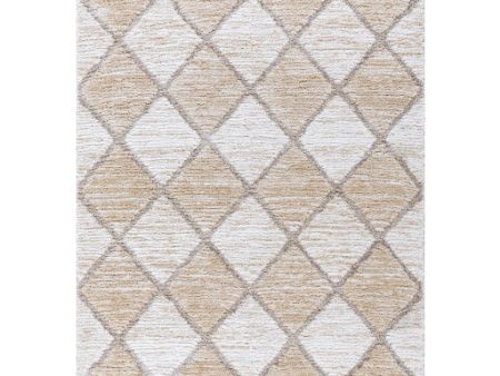 Surya Delight Shag DEL-2306  Global MachineWoven Rug Online Hot Sale