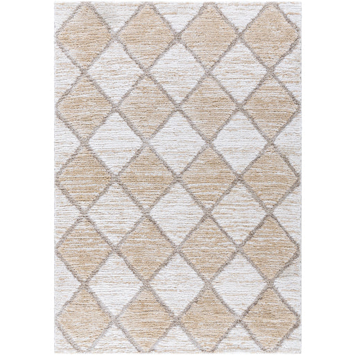 Surya Delight Shag DEL-2306  Global MachineWoven Rug Online Hot Sale