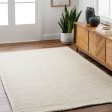 Surya Empoli EPO-2309  Cottage Hand Woven Rug Discount