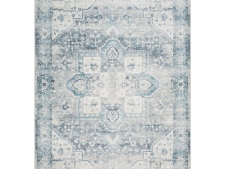 Surya Lavable LVB-2318  Traditional Machine Wovven Rug Hot on Sale