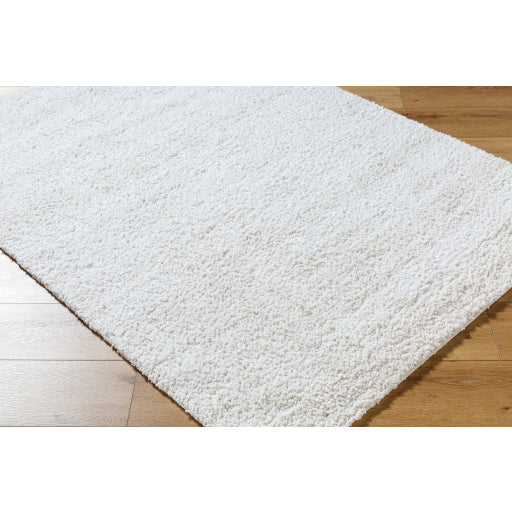 Surya Sacramento Shag SCS-2301 White Modern Machine Woven Rug For Sale