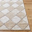 Surya Delight Shag DEL-2306  Global MachineWoven Rug Online Hot Sale