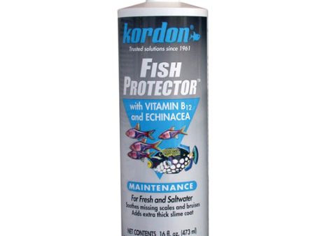 Kordon Fish-Protector with Vitamin B12 and Echinacea 1 Each 16 Oz by Kordon Sale