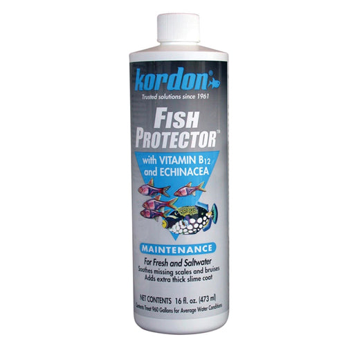 Kordon Fish-Protector with Vitamin B12 and Echinacea 1 Each 16 Oz by Kordon Sale