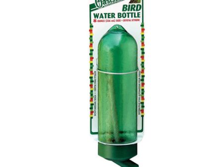 Oasis Bird Water Bottle Green, 1 Each 8 Oz by San Francisco Bay Brand Online now