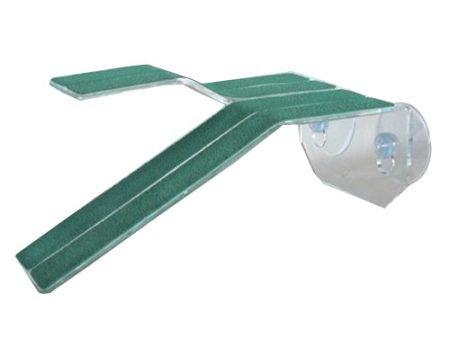 Kordon Turtle Ramp Green Clear, 1 Each Small by Kordon Supply